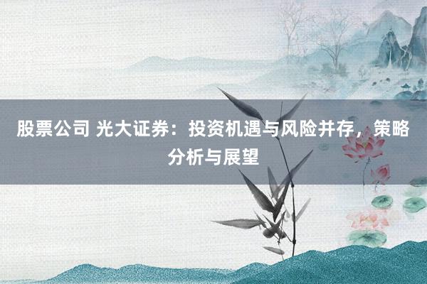 股票公司 光大证券：投资机遇与风险并存，策略分析与展望