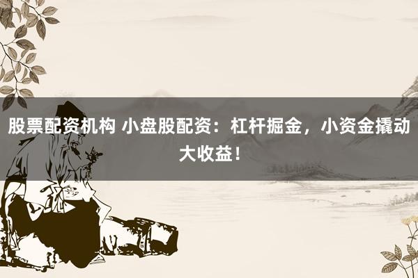 股票配资机构 小盘股配资：杠杆掘金，小资金撬动大收益！