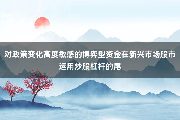 对政策变化高度敏感的博弈型资金在新兴市场股市运用炒股杠杆的尾