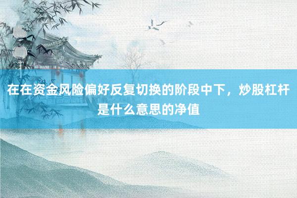 在在资金风险偏好反复切换的阶段中下，炒股杠杆是什么意思的净值